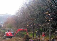 bosco4.jpg